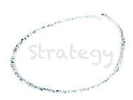 Fundraising Strategy